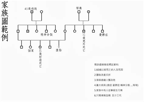 家庭關係分析|家系圖怎麼畫？多種方法來教你！